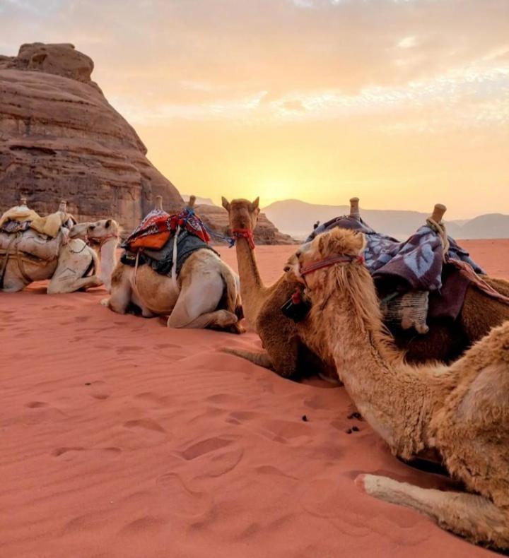 Wadi Rum Nature Exterior foto