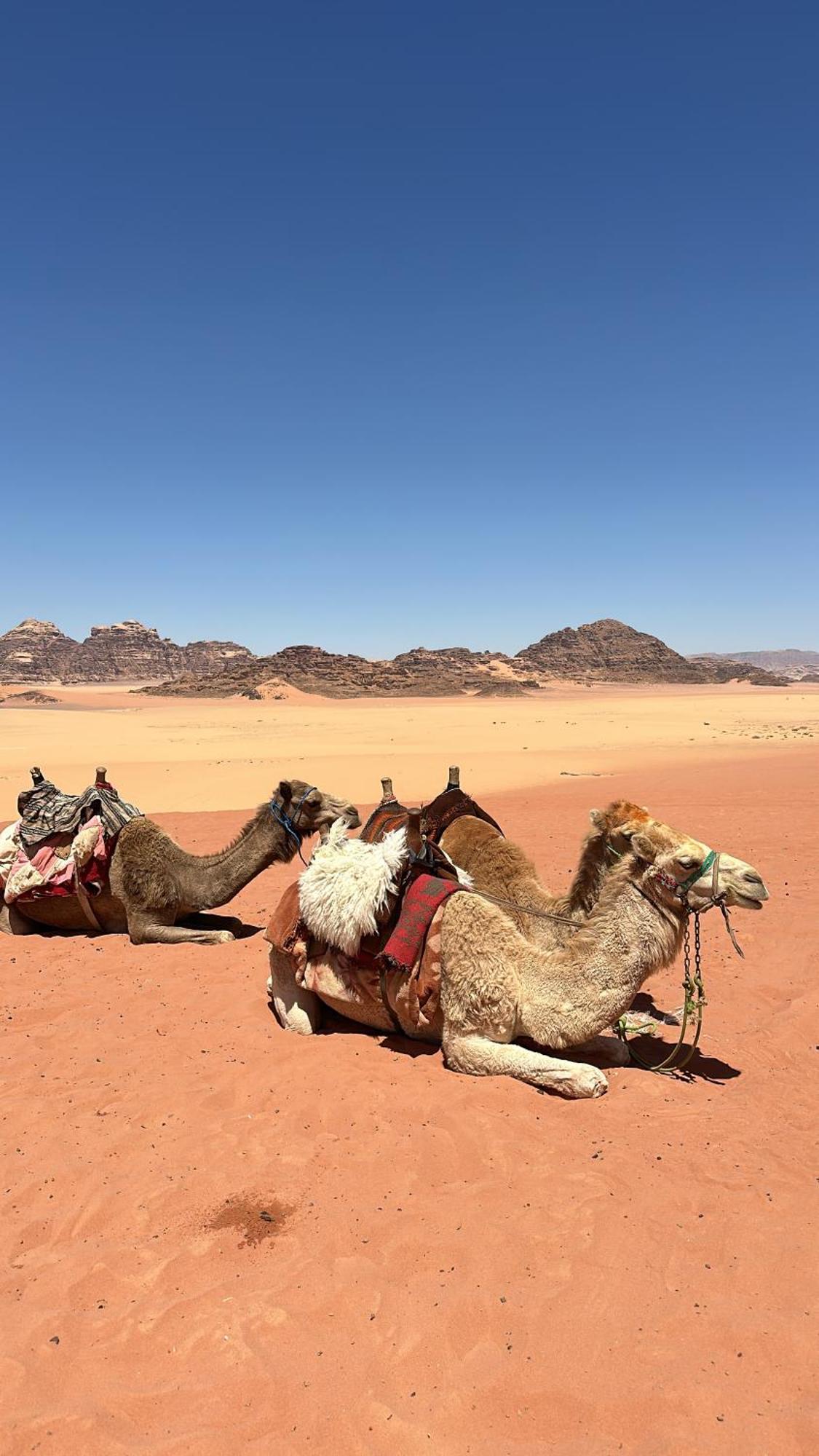 Wadi Rum Nature Exterior foto
